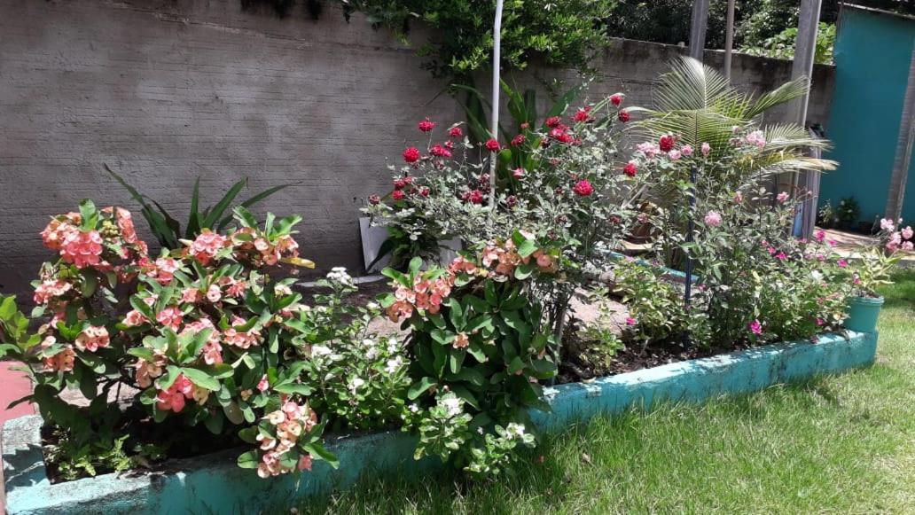 Pousada Tropicaliente อัลเตร์ ดู เชา ภายนอก รูปภาพ